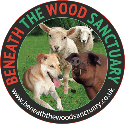 SUPPORT BENEATH THE WOOD SANCTUARY 